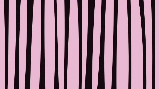 Rose 500 zebra desktop wallpaper — free 4K rose 500 wallpaper 3840x2160