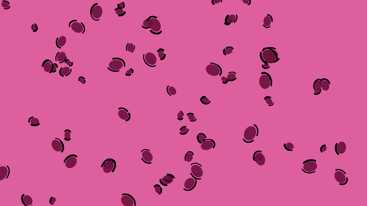 Rose 600 leopard print background — free HD rose 600 color wallpaper 1920x1080