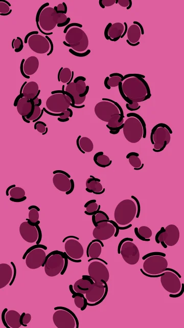 Rose 600 leopard phone wallpaper — free HD rose 600 mobile wallpaper 1080x1920