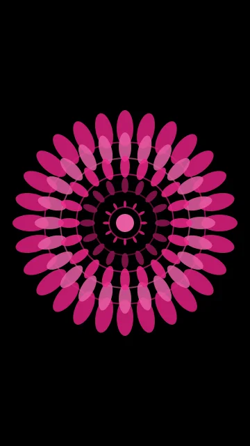 Rose 600 mandala phone wallpaper — free HD rose 600 mobile wallpaper 1080x1920