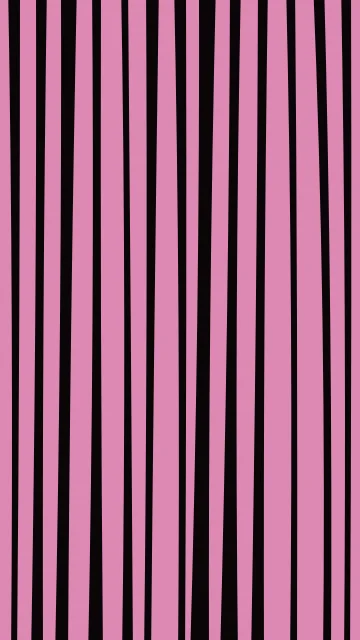 Rose 600 zebra phone wallpaper — free HD rose 600 mobile wallpaper 1080x1920
