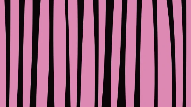 Rose 600 zebra desktop wallpaper — free 4K rose 600 wallpaper 3840x2160
