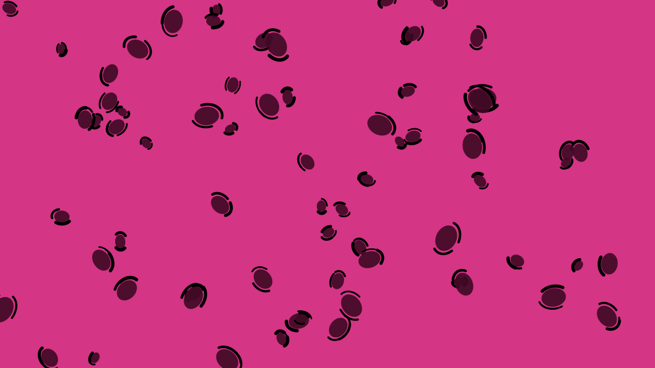 Rose 700 leopard print background — free HD rose 700 color wallpaper 1920x1080