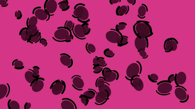 Rose 700 leopard desktop wallpaper — free 4K rose 700 wallpaper 3840x2160