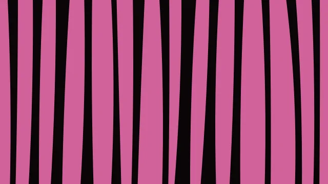 Rose 700 zebra desktop wallpaper — free 4K rose 700 wallpaper 3840x2160