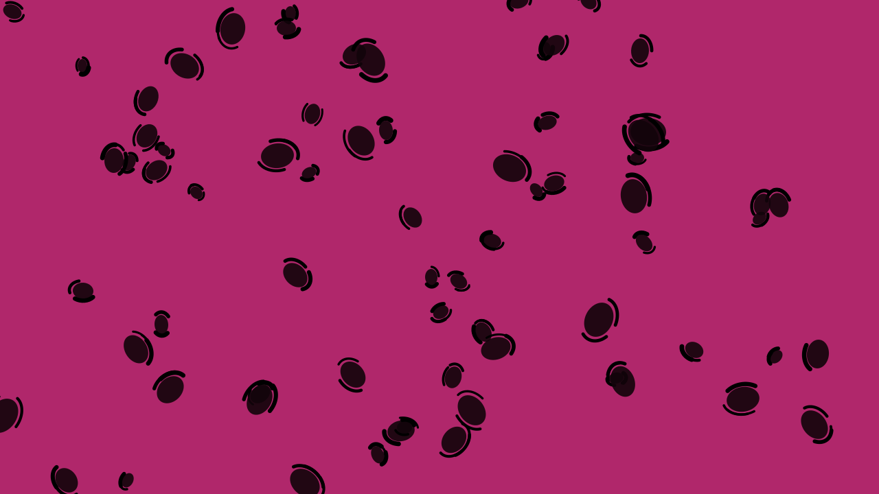 Rose 800 leopard print background — free HD rose 800 color wallpaper 1920x1080