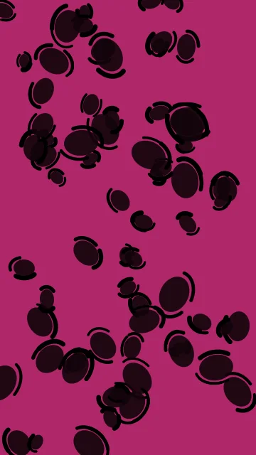 Rose 800 leopard phone wallpaper — free HD rose 800 mobile wallpaper 1080x1920