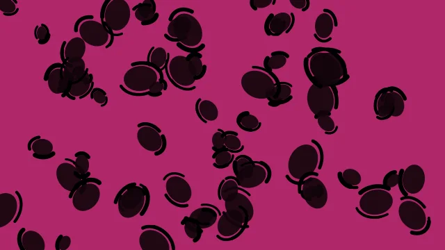 Rose 800 leopard desktop wallpaper — free 4K rose 800 wallpaper 3840x2160