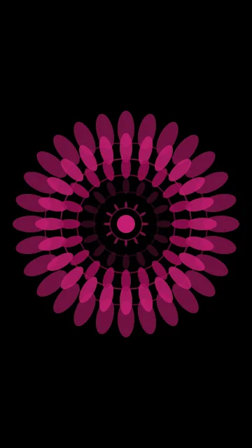 Rose 800 mandala phone wallpaper — free HD rose 800 mobile wallpaper 1080x1920