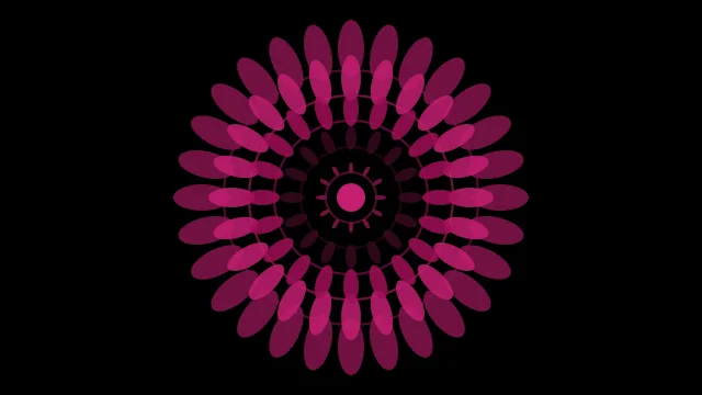 Rose 800 mandala desktop wallpaper — free 4K rose 800 wallpaper 3840x2160