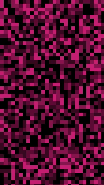 Rose 800 pixel phone wallpaper — free HD rose 800 mobile wallpaper 1080x1920