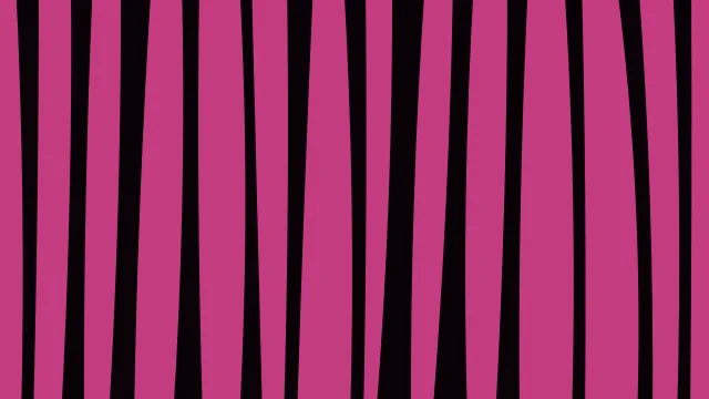 Rose 800 zebra desktop wallpaper — free 4K rose 800 wallpaper 3840x2160
