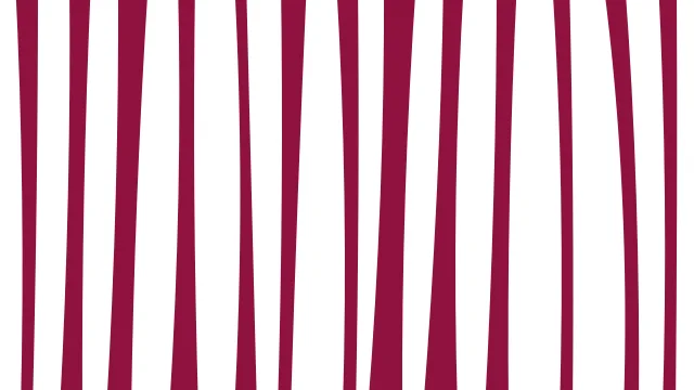 Rose Kiss zebra print background — free HD rose kiss color wallpaper 1920x1080
