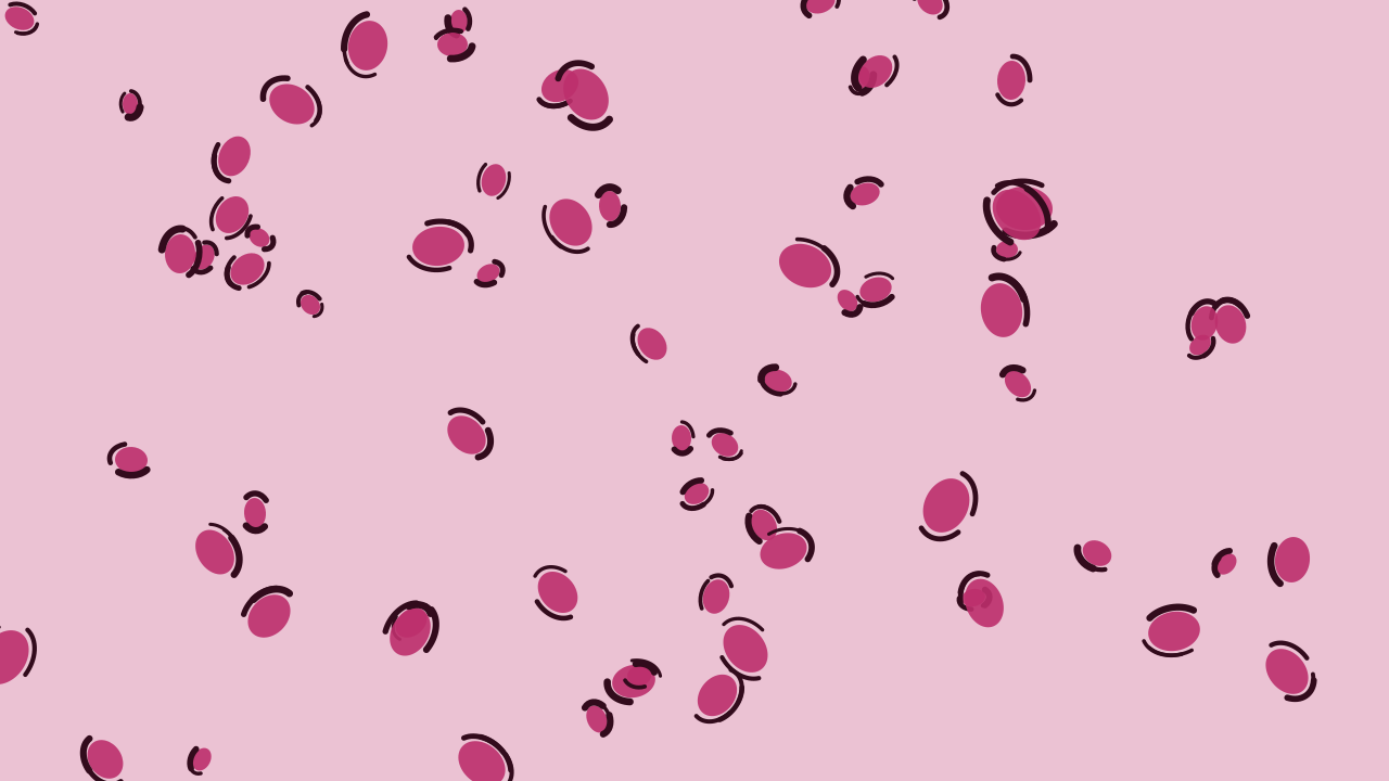 Rose Punch leopard print background — free HD rose punch color wallpaper 1920x1080