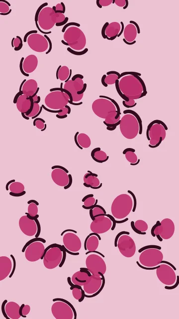 Rose Punch leopard phone wallpaper — free HD rose punch mobile wallpaper 1080x1920