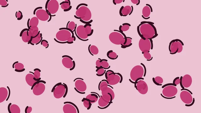Rose Punch leopard print background — free HD rose punch color wallpaper 1920x1080