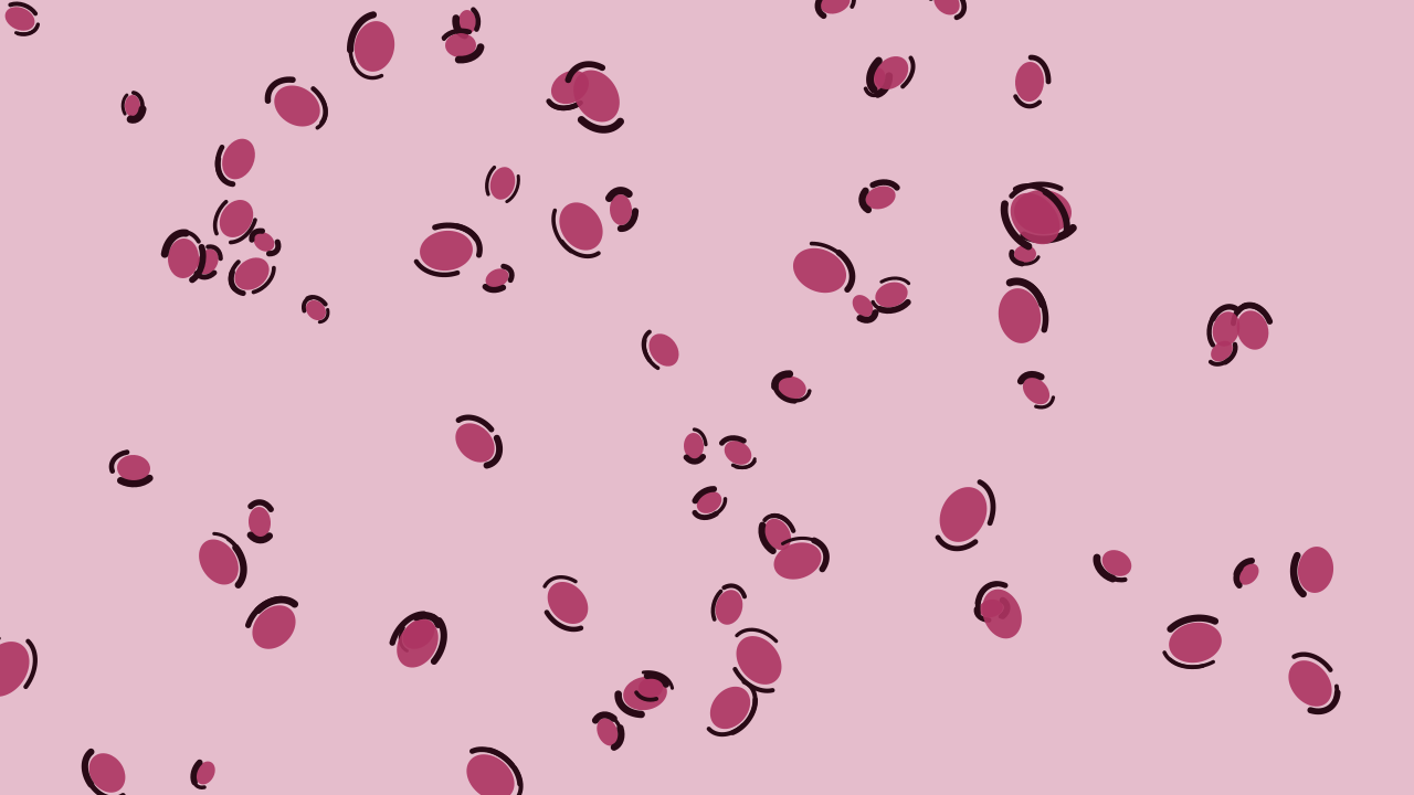 Rose Wine leopard print background — free HD rose wine color wallpaper 1920x1080