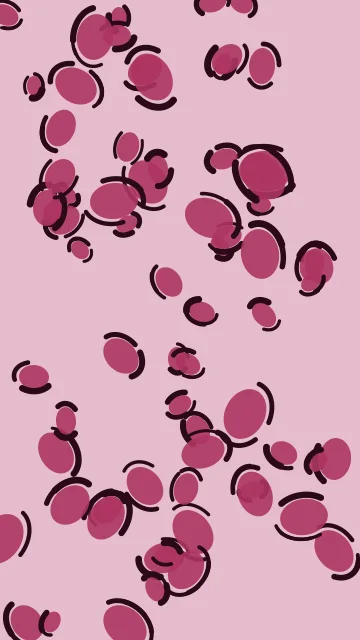 Rose Wine leopard phone wallpaper — free HD rose wine mobile wallpaper 1080x1920