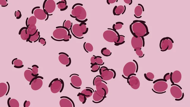 Rose Wine leopard print background — free HD rose wine color wallpaper 1920x1080