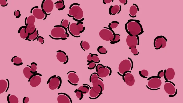 Rosewood leopard print background — free HD rosewood color wallpaper 1920x1080