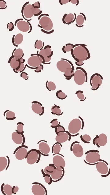 Rosy Brown leopard phone wallpaper — free HD rosy brown mobile wallpaper 1080x1920