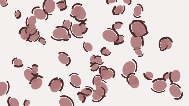 Rosy Brown leopard desktop wallpaper — free 4K rosy brown wallpaper 3840x2160