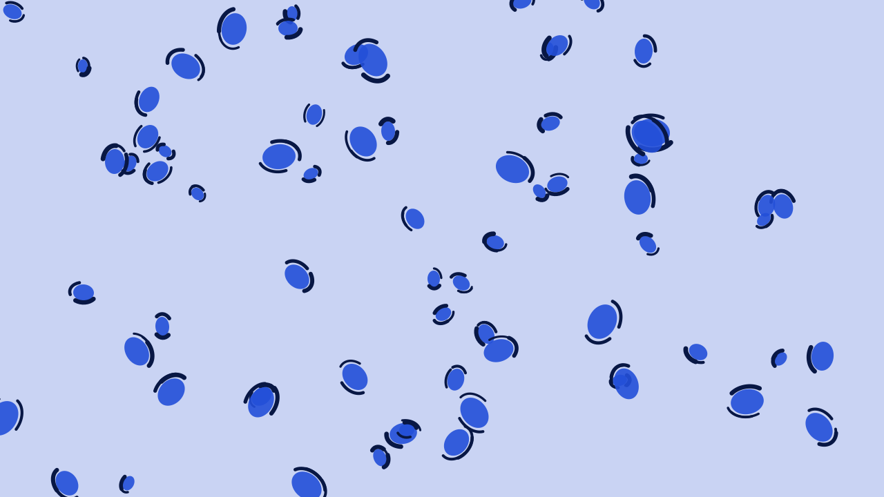 Royal Blue leopard print background — free HD royal blue color wallpaper 1920x1080