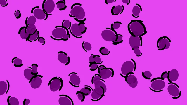 Royal Orchid leopard print background — free HD royal orchid color wallpaper 1920x1080