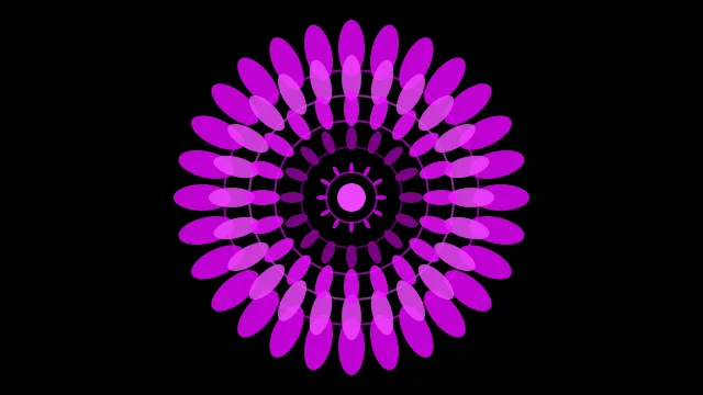 Royal Orchid mandala background — free HD royal orchid color wallpaper 1920x1080