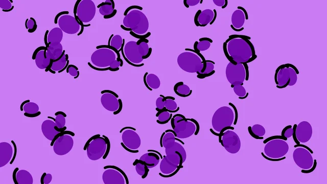 Royal Violet leopard print background — free HD royal violet color wallpaper 1920x1080
