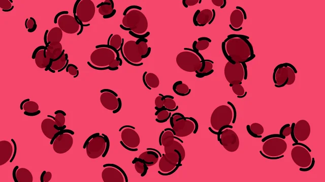 Ruby Red leopard print background — free HD ruby red color wallpaper 1920x1080