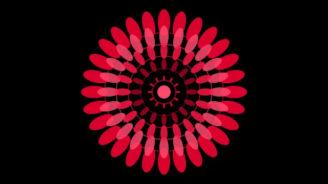 Ruby Red mandala background — free HD ruby red color wallpaper 1920x1080