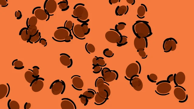 Rust Brown leopard print background — free HD rust brown color wallpaper 1920x1080