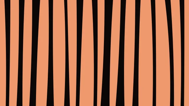 Rust Brown zebra print background — free HD rust brown color wallpaper 1920x1080