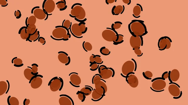 Rusty Spice leopard print background — free HD rusty spice color wallpaper 1920x1080