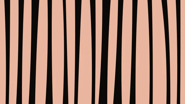 Rusty Spice zebra print background — free HD rusty spice color wallpaper 1920x1080