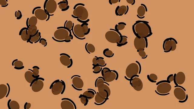 Saddle Bark leopard print background — free HD saddle bark color wallpaper 1920x1080