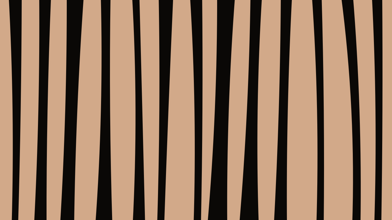 Saddle Bark zebra print background — free HD saddle bark color wallpaper 1920x1080