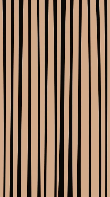 Saddle Bark zebra phone wallpaper — free HD saddle bark mobile wallpaper 1080x1920