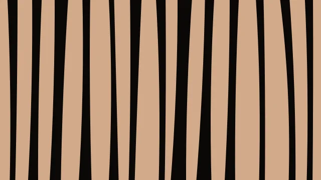 Saddle Bark zebra print background — free HD saddle bark color wallpaper 1920x1080