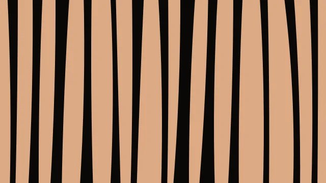 Saddle Brown zebra desktop wallpaper — free 4K saddle brown wallpaper 3840x2160