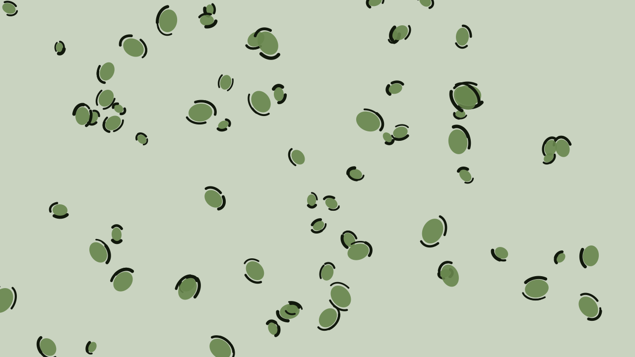 Sage Green leopard print background — free HD sage green color wallpaper 1920x1080