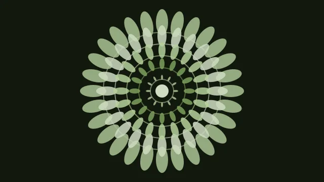 Sage Green mandala background — free HD sage green color wallpaper 1920x1080