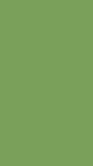 Sage Green solid phone wallpaper — free HD sage green mobile wallpaper 1080x1920