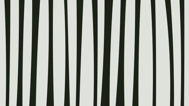 Sage Green zebra print background — free HD sage green color wallpaper 1920x1080