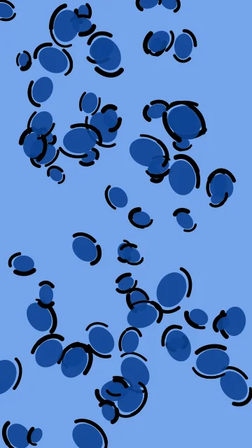 Sapphire leopard phone wallpaper — free HD sapphire mobile wallpaper 1080x1920