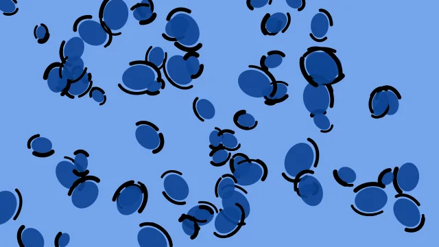 Sapphire leopard print background — free HD sapphire color wallpaper 1920x1080