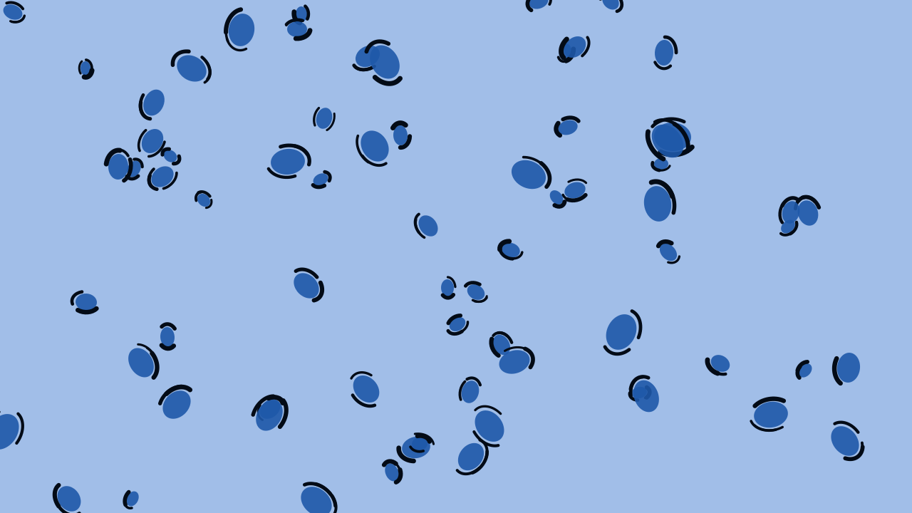 Sapphire Sky leopard print background — free HD sapphire sky color wallpaper 1920x1080
