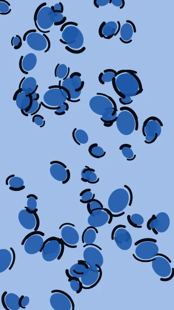 Sapphire Sky leopard phone wallpaper — free HD sapphire sky mobile wallpaper 1080x1920