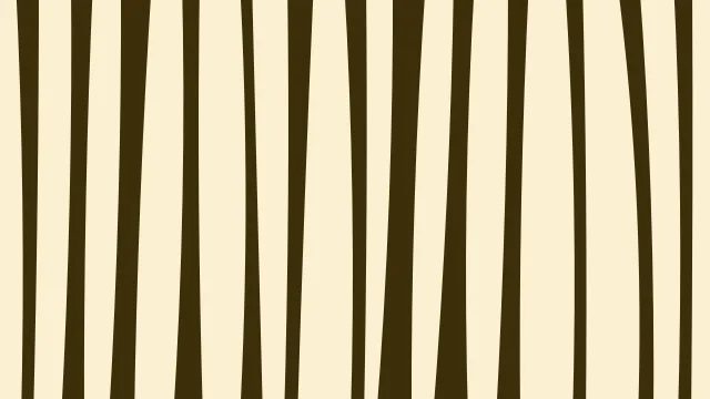 School Bus Yellow zebra print background — free HD school bus yellow color wallpaper 1920x1080